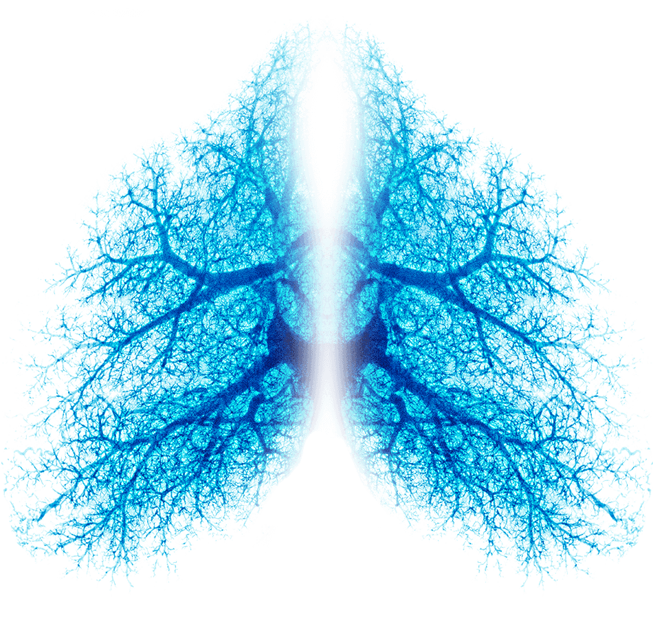 lungs background